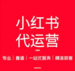 佛山小红书运营公司实测：专业度与落地效果对比体验
